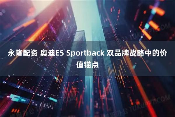 永隆配资 奥迪E5 Sportback 双品牌战略中的价值锚点