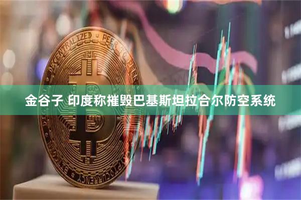 金谷子 印度称摧毁巴基斯坦拉合尔防空系统