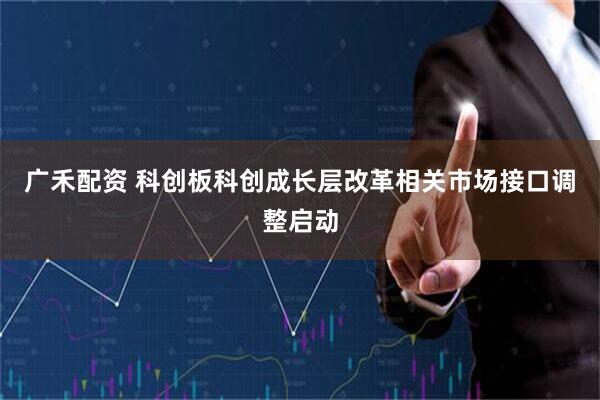 广禾配资 科创板科创成长层改革相关市场接口调整启动