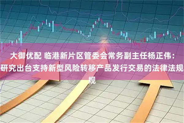 大御优配 临港新片区管委会常务副主任杨正伟：研究出台支持新型风险转移产品发行交易的法律法规