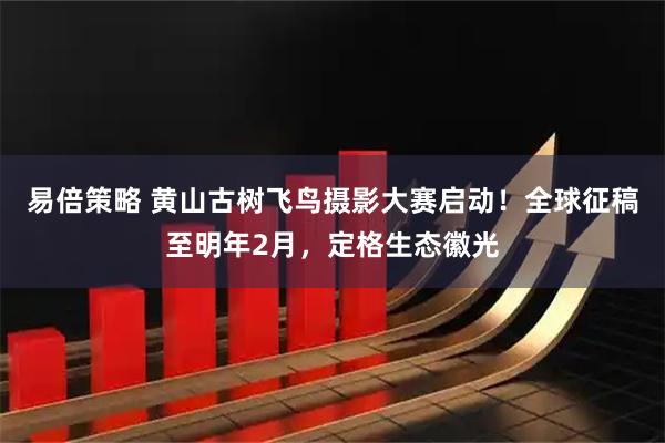 易倍策略 黄山古树飞鸟摄影大赛启动！全球征稿至明年2月，定格生态徽光
