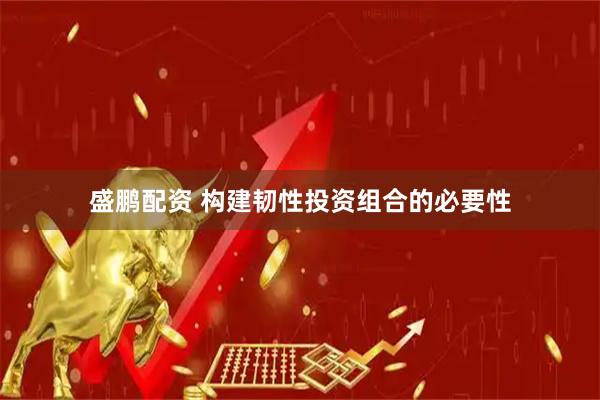 盛鹏配资 构建韧性投资组合的必要性