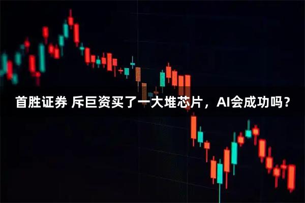 首胜证券 斥巨资买了一大堆芯片，AI会成功吗？