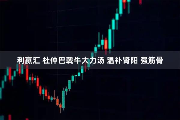 利赢汇 杜仲巴戟牛大力汤 温补肾阳 强筋骨