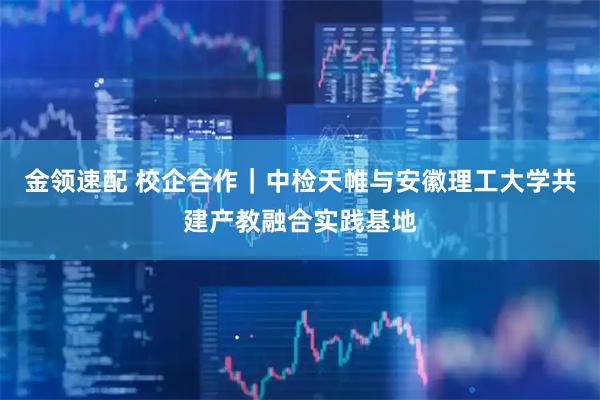 金领速配 校企合作｜中检天帷与安徽理工大学共建产教融合实践基地