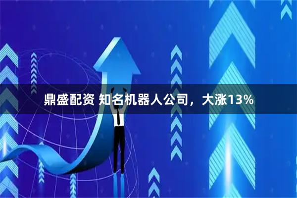 鼎盛配资 知名机器人公司，大涨13%
